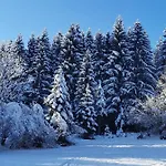 Soba Kolovrat Проживание в семье Straza
