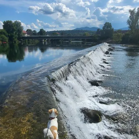 Alloggio in famiglia Soba Kolovrat *