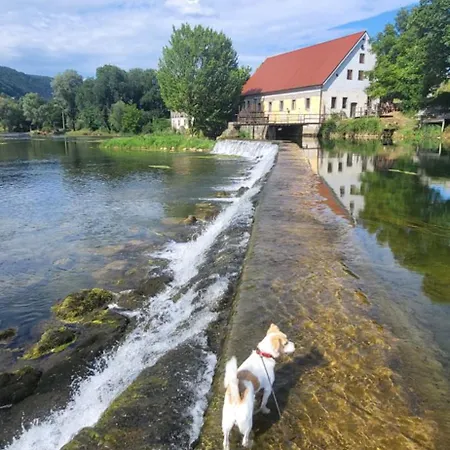 Soba Kolovrat