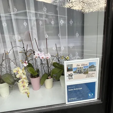 Проживание в семье Soba Kolovrat *