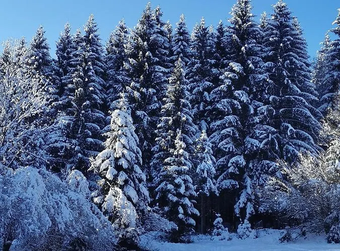 Soba Kolovrat Alloggio in famiglia Straza