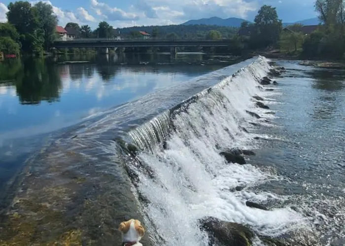 Alloggio in famiglia Soba Kolovrat *