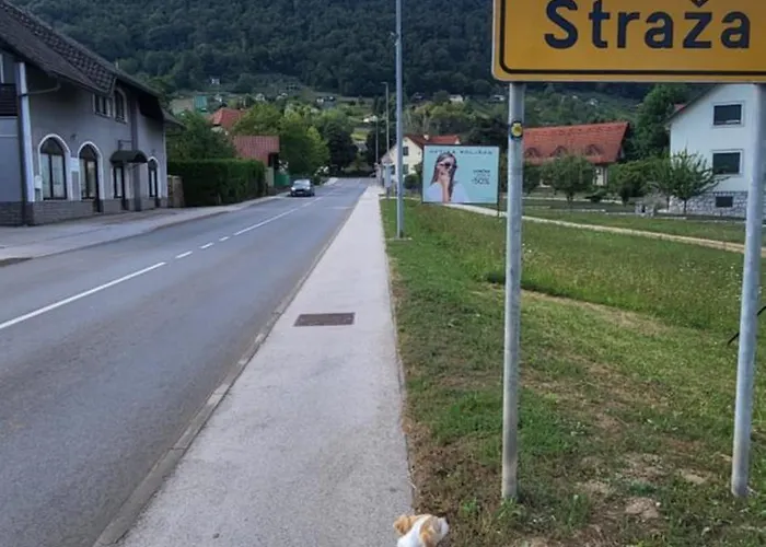 Alloggio in famiglia Soba Kolovrat *