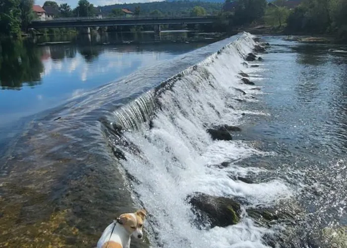 Soba Kolovrat Alloggio in famiglia