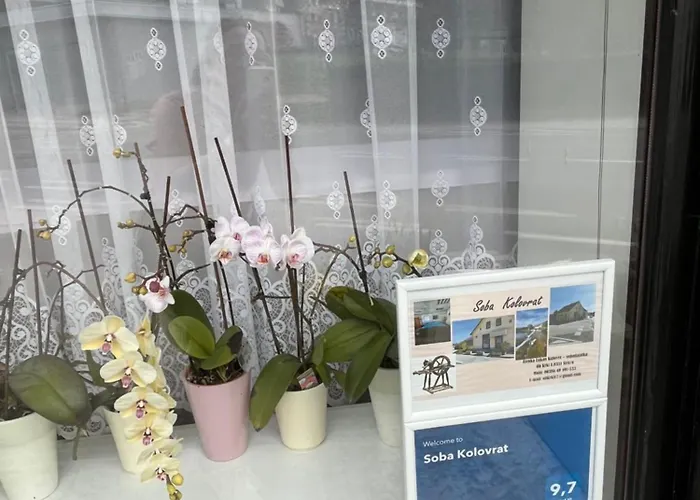 Alloggio in famiglia Soba Kolovrat *